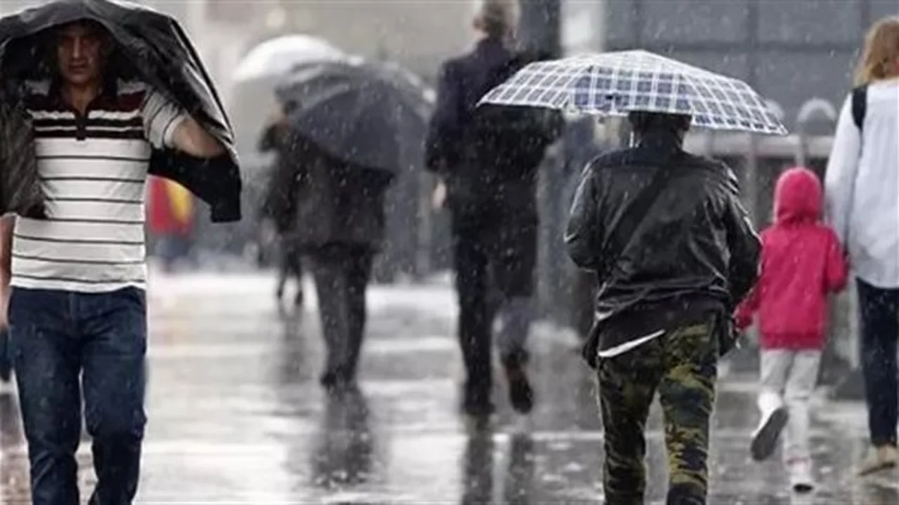 بداية فصل الربيع.. متى تنتهي موجات البرد القاسية في مصر خلال 2026؟